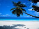 Playa de las islas Seychelles