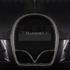 Bugatti Veyron Vincerò by Mansory