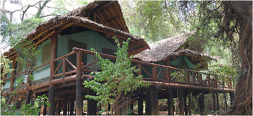 Makanyane Safari Lodge, reserva de Madikwe en Sudáfrica